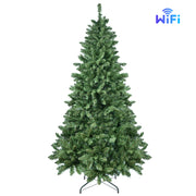 PE, PVC Christmas Tree, Christmas Decorations, Holiday Decorations